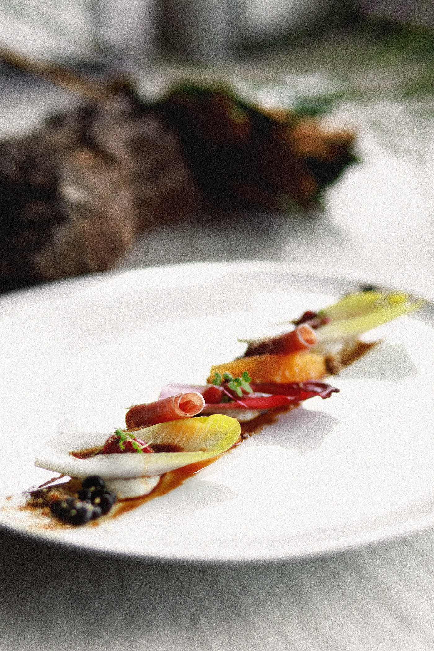 Deer Duck Bistro Menu 2019 by Evelina Photography - Brisbane Food Photographer - Brisbane Venue Photographer Food Photographer Brisbane